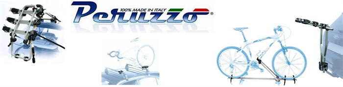 Banner -peruzzo 2020